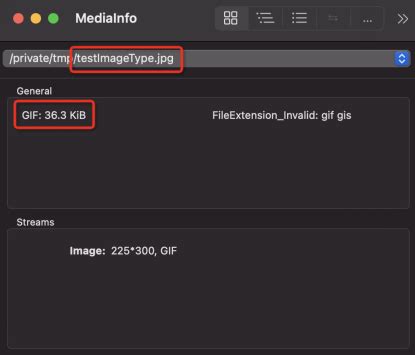 Open File Type 的图像结果