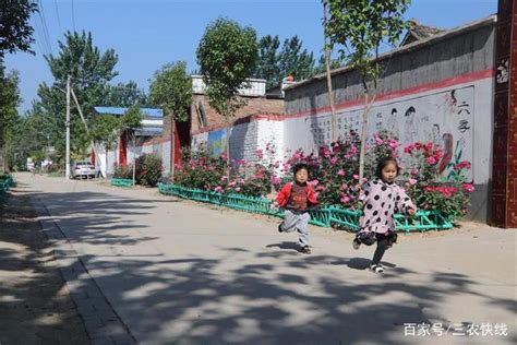 行走河南·读懂中国 | 商丘：冬日的汉梁文化公园如一幅美丽的画卷 - 河南省文化和旅游厅