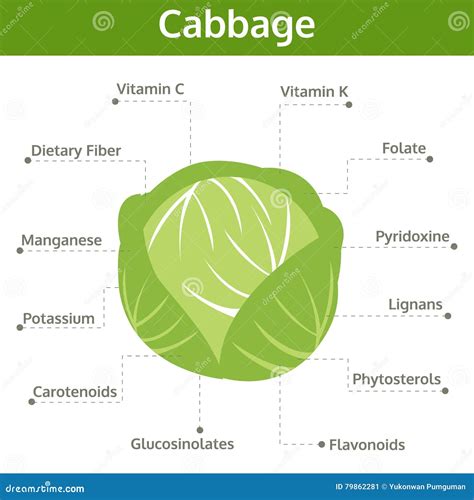 Benefits Of Cabbage Vegetable