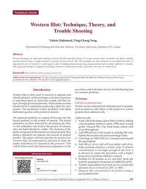 Phlebotomy - WHO guidelines on drawing blood: best practices in ...
