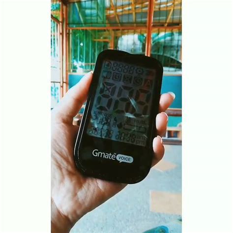 How to Use Gmate 的图像结果