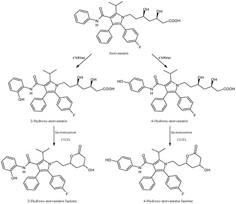Impact of Cytochrome P450 Enzymes on the Phase I Metabolism of Drugs