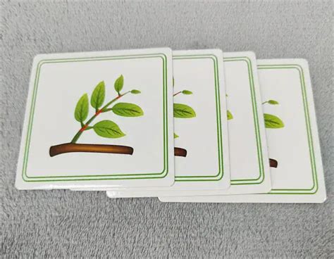 Image result for Card Printing