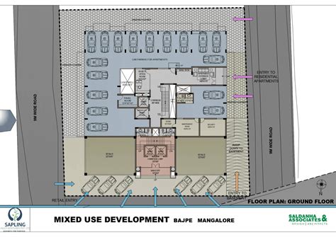 Image result for Sapling Development