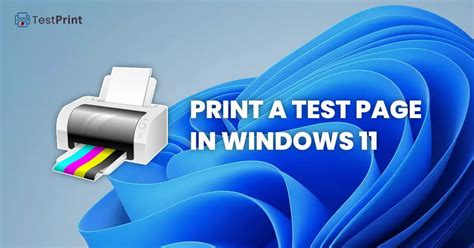 Image result for Test Printer Windows 10