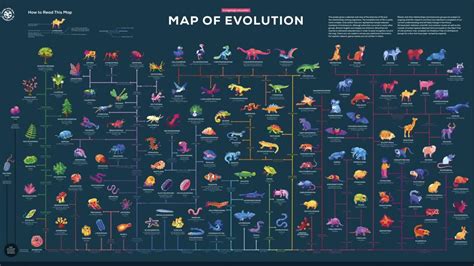 Map Evolution 的图像结果