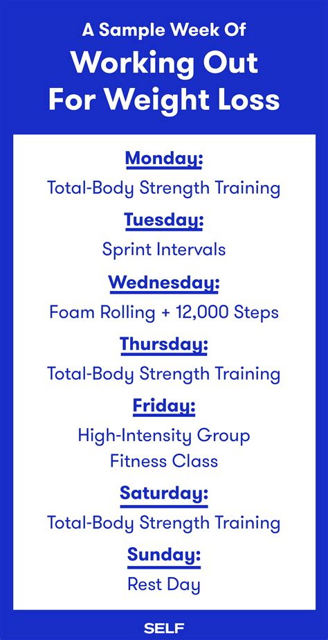 Example Workout Schedule 的图像结果