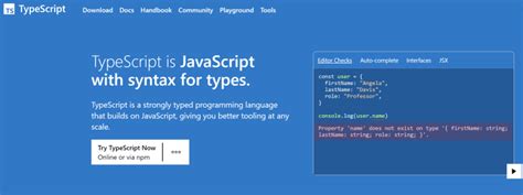 Image result for TypeScript