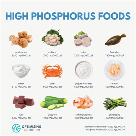 Top Phosphorus Rich Foods for Strong Bones and Energy | Optimising ...