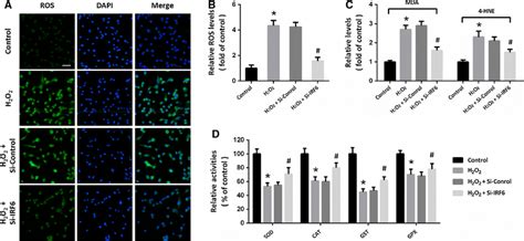 H2O2 HT22 的图像结果