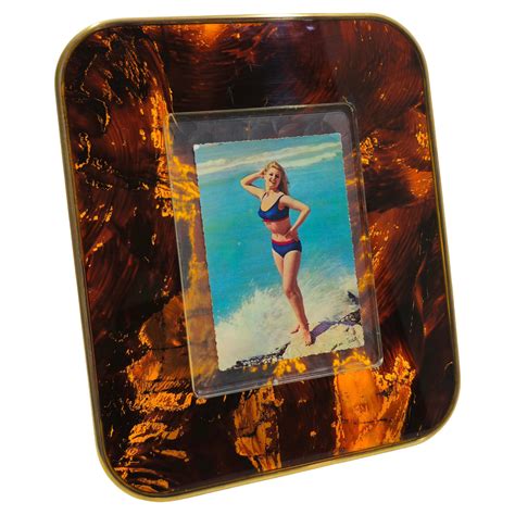 Tortoise Lucite Picture Frame Mid-Century Modern Design Italy 70s Brass ...