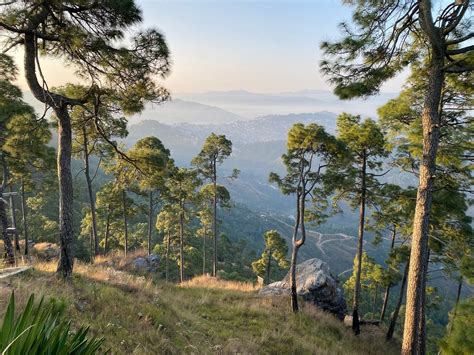 KASAAR JUNGLE RESORT (Almora, Uttarakhand) - Resort Reviews, Photos ...