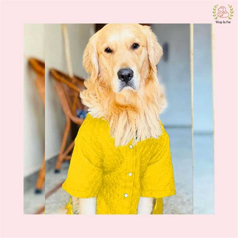 Yellow Chikankari Kurta – Wrapinfur