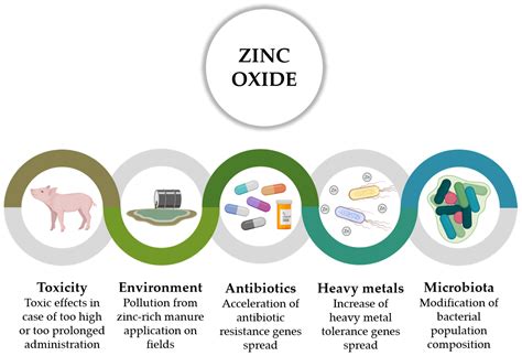 Towards Zero Zinc Oxide: Feeding Strategies to Manage Post-Weaning Diarrhea in Piglets