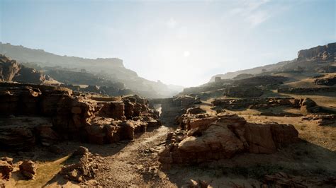 Image result for Resolve Shell