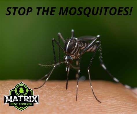 Image result for Matrix Pest Control