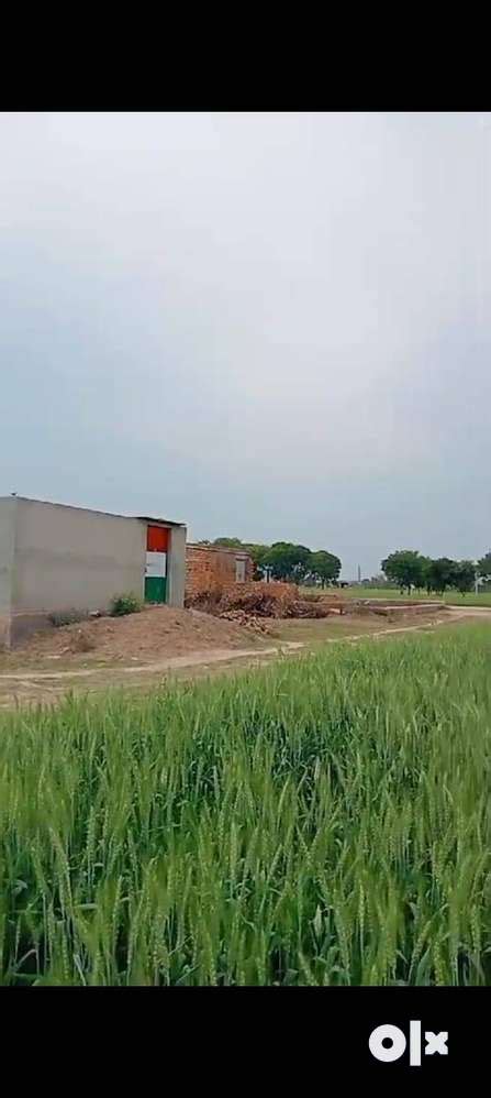 Plot for Sale in Palwal near Sholaka Railway Station & Thakur Ji Ki Pa ...
