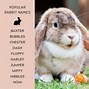 Image result for Famous Bunny Characters
