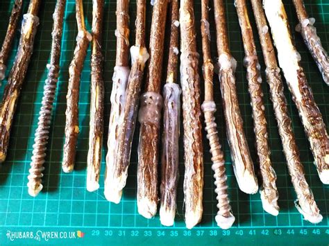 How to Make a Magic Wand Out of a Stick! - Rhubarb and Wren