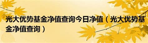 基金的各种净值指标是什么意思_新浪财经_新浪网