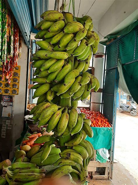 CooPany® Rare Variety Elakki Banana Live Plant - Rhizome Variety Not ...