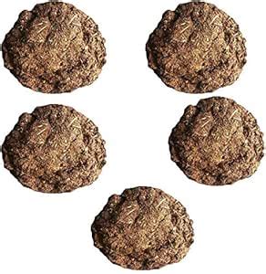 Laxmi_Traders Cow Dung Cakes/Gobar Upla for Hawan and Indian Rituals ...