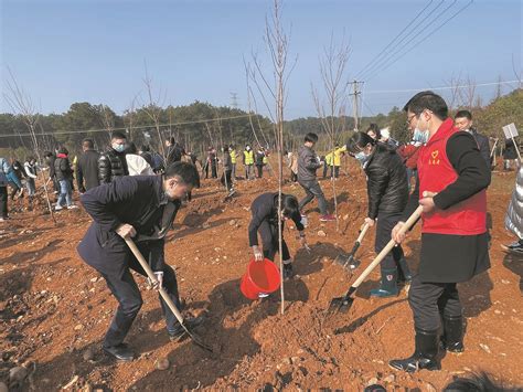 湖北40年义务植树超42亿株 数十年接力荒山成林场--中国文明网·湖北-湖北文明网