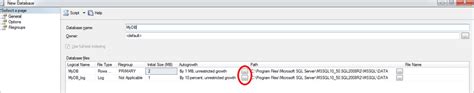 Auto Growth SQL Server 的图像结果