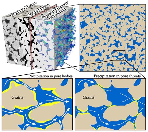 Hydraulic and Mechanical Impacts of Pore Space Alterations within a ...