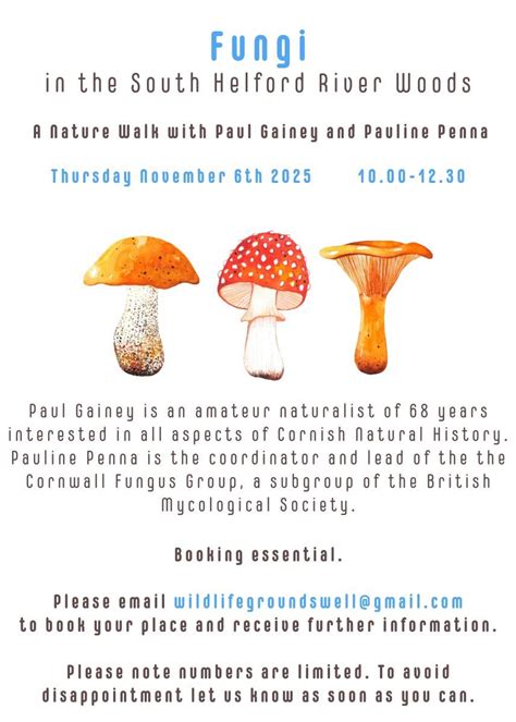 Fungi walk, South helford river woods, Helston, 6 November 2025 | AllEvents