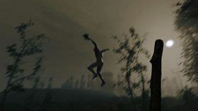 The Forest