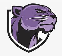 Image result for panther logo