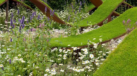 Bing Wallpaper Garden 的图像结果