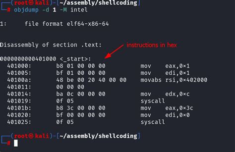 64-bit Linux Assembly and Shellcoding
