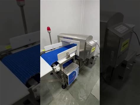 Conveyor Metal Detector - Fibc Bags Metal Detector Manufacturer from Mumbai