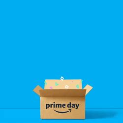 Image result for Amazon Prime Day Box
