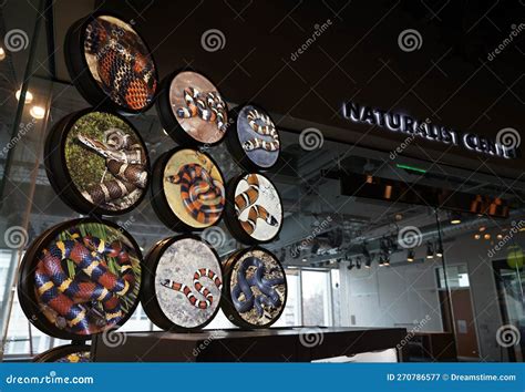 Raleigh, NC - USA - 12-20-2022: Snake Exhibit at the Museum of Natural ...