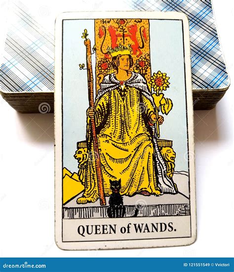 Queen of Wands Tarot Card stock image. Image of queen - 121551549