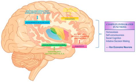 Biology | Special Issue : Neurobiology of Behavior: Influences of ...