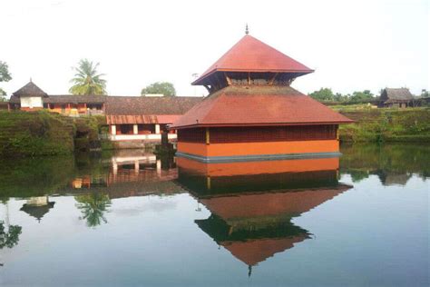 Meet Babiya—the vegetarian crocodile that guards a temple in Kerala ...