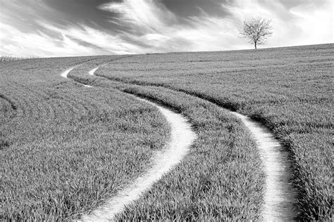 Image result for Parallel Paths