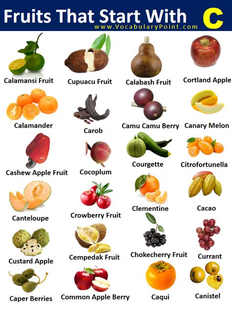 90+ Fruits that Start with C (Properties and Pictures) - Vocabulary Point