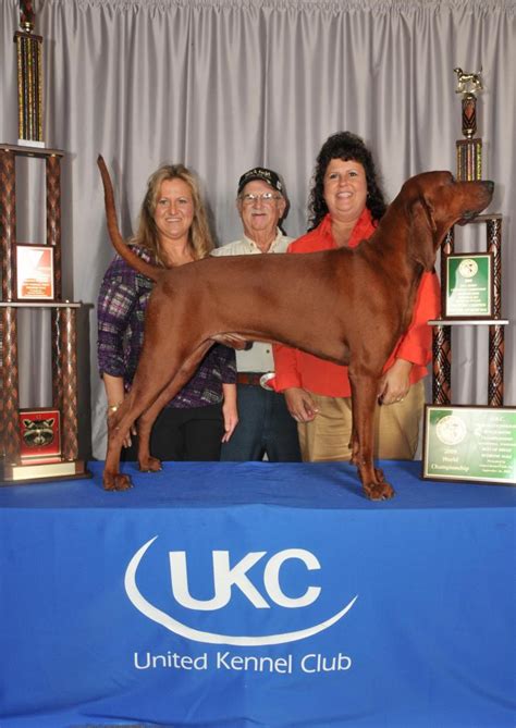 Coonhound World Championship Historical Winners List | United Kennel ...