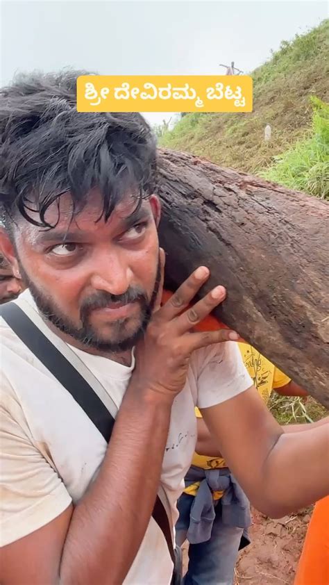 Shboy Machine 的图像结果