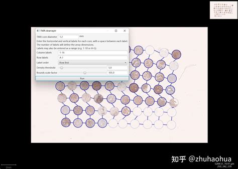 QuPath Tutorial 的图像结果