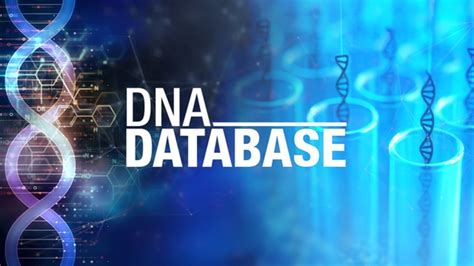 DNA Database 的图像结果