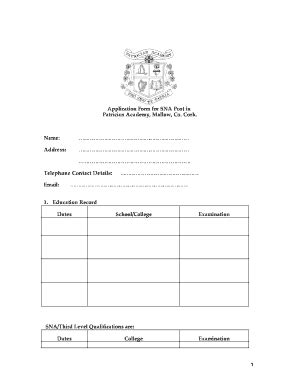 IE Patrician Academy Application Form For SNA Post 2011-2026 - Fill and ...