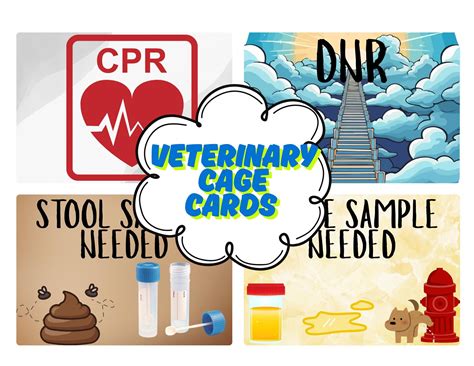 Digital Printable VETERINARY CAGE CARDS Printable - Digital Download ...