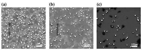 Preparation and Characterization of Diamond-like Carbon Coatings for ...