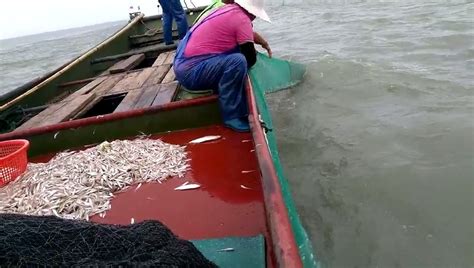 两天一晚湖州自由行，游太湖吃美食逛景点，这些攻略请收好 - 知乎